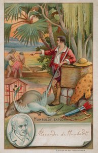 Alexander von Humboldt, géographe, naturaliste et explorateur prussien (1769-1859) - French School