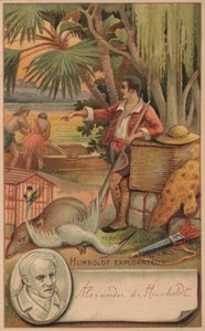 Alexander von Humboldt, géographe, naturaliste et explorateur prussien - French School