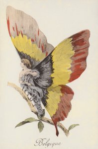 Représentation allégorique de la Belgique sous forme de papillon (lithographie couleur) - French School