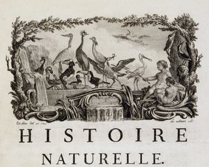 Allégorie d