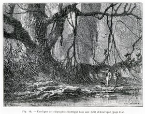 Une ligne de télégraphe électrique dans une forêt américaine, vers 1870 (gravure)