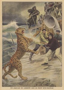 Un jaguar échappé en liberté sur un navire - French School