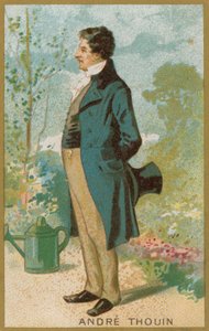 Andre Thouin - French School