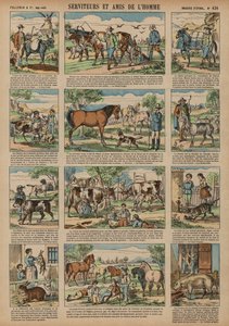Animaux bénéfiques à l