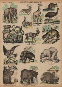Animaux du Jardin des Plantes, Paris, France - French School