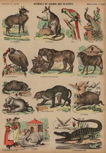 Animaux du Jardin des Plantes, Paris, France - French School
