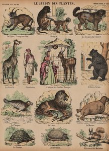 Animaux du Jardin des Plantes, Paris, France - French School