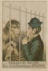 Singe et homme - French School