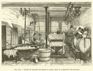 Atelier de tannerie des peaux au sumac, pour la preparation du maroquin - French School