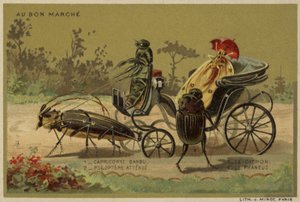 Cartes Au Bon Marché représentant des insectes anthropomorphes - French School