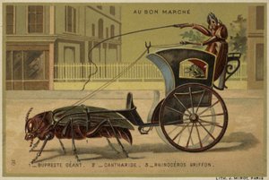 Cartes Au Bon Marché représentant des insectes anthropomorphes - French School