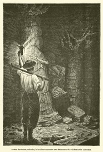 Au sein des mines profondes, le houilleur rencontre avec etonnement les vieilles forets ensevelies