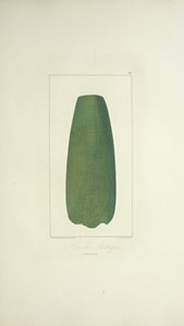 Hache aztèque, illustration de 