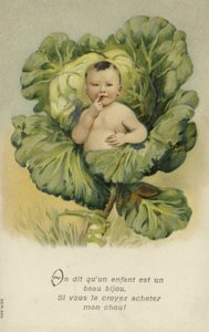 Bébé dans un chou (chromolitho)