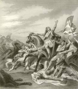 Bataille de Tolbiac, 496