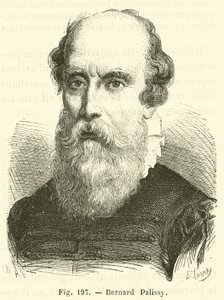 Bernard Palissy - French School