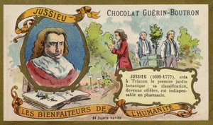 Bernard de Jussieu, naturaliste français - French School