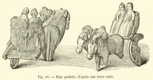 Bige gaulois - French School