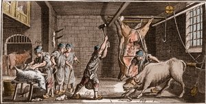 Boucherie - « La Grande Encyclopédie, ou Dictionnaire Raisonné des Sciences, des Arts et des Métiers » par Denis Diderot et Jean d
