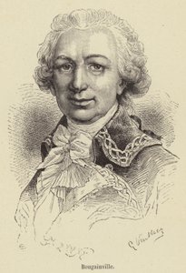 Bougainville (gravure) - French School