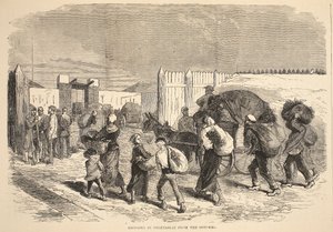 Apport de légumes des banlieues, illustration de l
