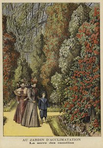 Serre de camélias dans un jardin botanique - French School