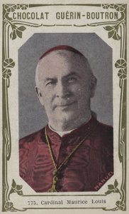 Cardinal Maurice Louis - French School