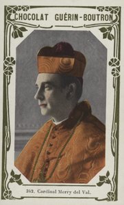 Cardinal Merry del Val - French School