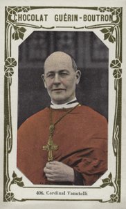 Cardinal Vanutelli - French School