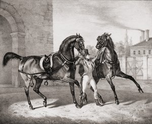 Chevaux de Carrosse pour le Roi d