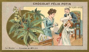 Huile de ricin - délicatesse de Mlle Lili - French School