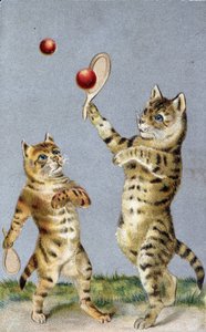 Chats jouant au tennis - carte postale début 20ème siècle