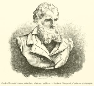Charles-Alexandre Lesueur, naturaliste, né et mort au Havre