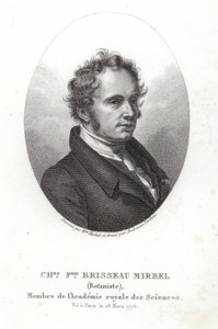 Charles-François Brisseau de Mirbel - French School