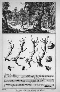 Chasse - la quête du cerf - « La Grande Encyclopédie, ou Dictionnaire Raisonné des Sciences, des Arts et des Métiers » par Denis Diderot et Jean d