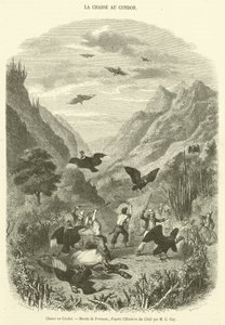 Chasse au Condor - French School