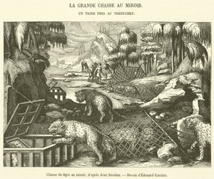Chasse du tigre au miroir - French School