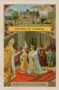 Château de Langeais - French School