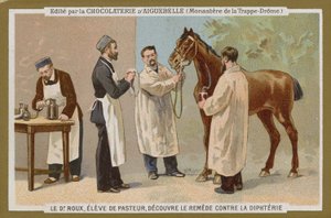 Carte de commerce Chocolat d