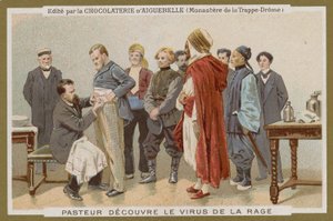 Carte de commerce Chocolat d