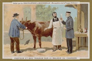 Carte de commerce Chocolat d