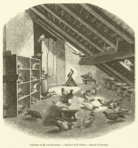 Colombier de M. van Roosebeke, Intérieur de la volière