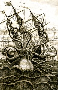 Poulpe colossal, c.1802 - French School