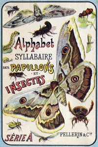 Couverture de "Alphabet syllabaire des papillons et insectes". Série A. Pellerin et Cie, imprimeurs-éditeurs, Épinal, fin 19e siècle.