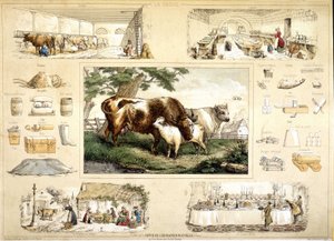 Vache et ses produits (traite, laiterie)