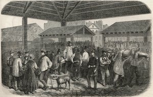 Criée de la viande de boucherie au marché de la rue des Prouvaires dans le 1er arrondissement de Paris - Gravure dans « Tableau-de-Paris » par Edmond Texier 1852 - French School