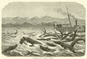 Crocodiles sur le Chire - French School