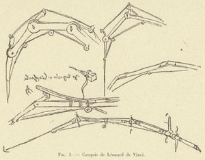 Croquis de Léonard de Vinci - French School