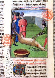 Découpe des pattes d