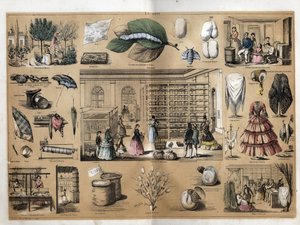 Description de la culture et des produits de la soie : au centre le magnan et la sériciculture. Représentation de la fabrication de la soie depuis la plantation des mûriers, l